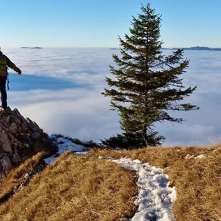 Rum i privatbostad Domcek Na Orave Habovka